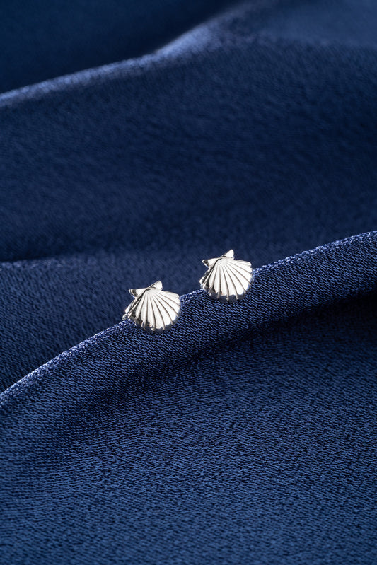 Seashell Earrings