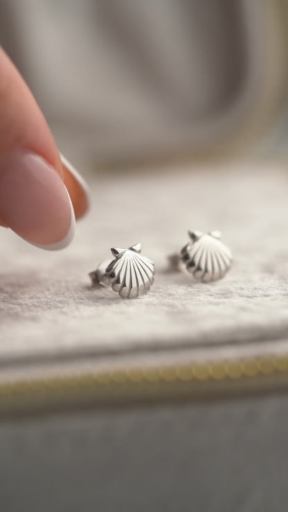 Seashell Earrings